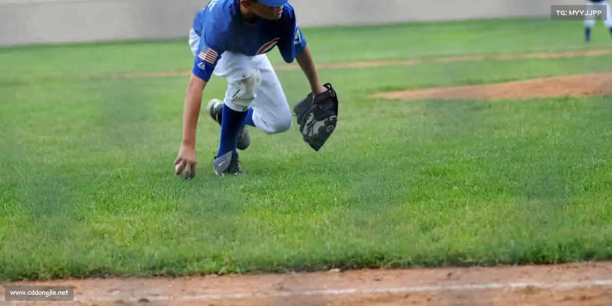 为什么选择我们